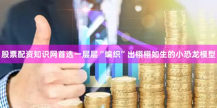 股票配资知识网首选一层层“编织”出栩栩如生的小恐龙模型