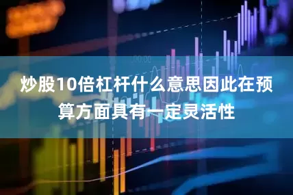 炒股10倍杠杆什么意思因此在预算方面具有一定灵活性