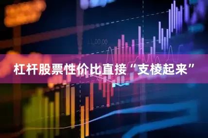 杠杆股票性价比直接“支棱起来”